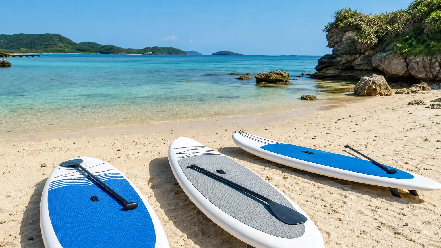 SUP boards and paddles lined up on the beach (photo goal)