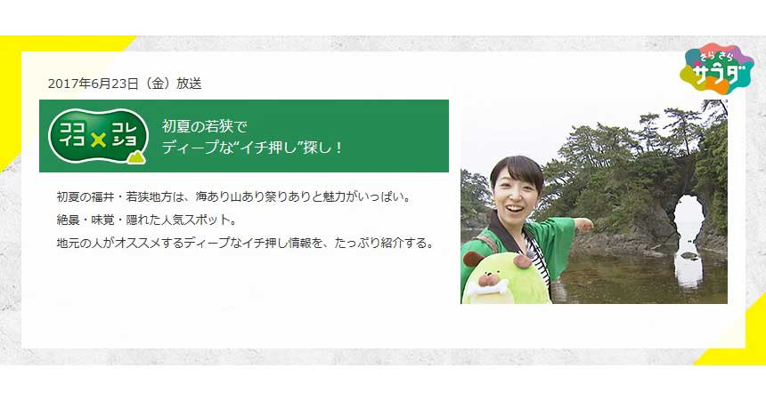 NHK Tokai broadcast, 23 June 2017 published article